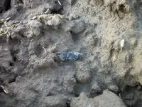 100_2978.webp