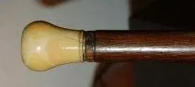 Cane Ivory Knob Handle 2.webp