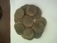 21 wheats.webp
