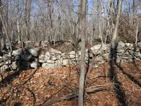 fr 312 001.webp