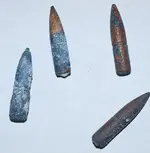 Metal Detecting finds.webp