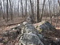 fr 312 007.webp