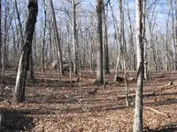 fr 312 010.webp