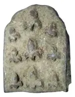 Belt Buckle Medieval France 1500-1600s with Fleur-de-Lis.webp