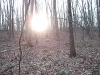 fr 312 025.webp