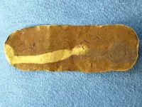 surfgold.webp