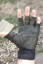 gloves.webp