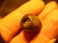 NOV 26TH KING GEORGE II COPPER 018.webp