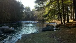 detecting site on 12-18-11   15 degrees outside.webp