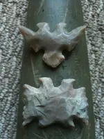 celt7.webp