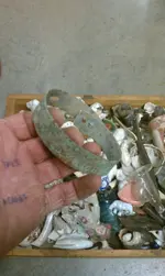 IMAG0272.webp
