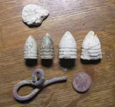 1-24finds7.webp