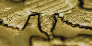 Alt view coin 1.webp