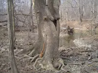 walking the drifts 009.webp