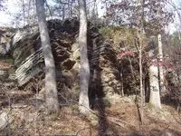 along the bluffs 017.webp