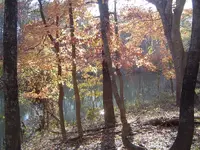 along the bluffs 026.webp