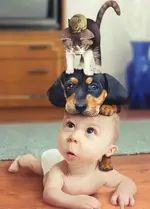 baby.webp