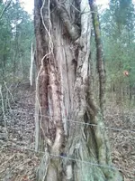 Photo0102 (480x640).webp
