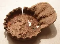 What Is It Bottle Cap - Big Cy .webp