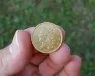 Gold coin front.webp