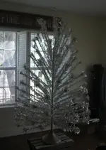 P1010064 SILVER TREE.webp