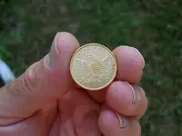 Gold coin reverse.webp