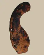 ox-shoe_worn-Ox-Shoe.webp