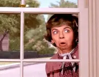 Mrs-kravitz-bewitched-300x232.webp
