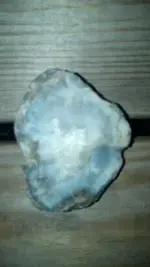 1320422529662.webp
