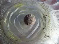 feb 005.webp