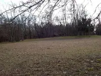 feb 010.webp