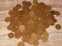 IMG_0250TN.webp
