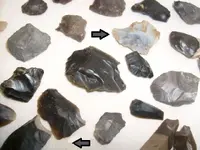 stumbledonstones.webp