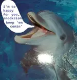 porp.webp