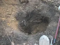 h7.webp