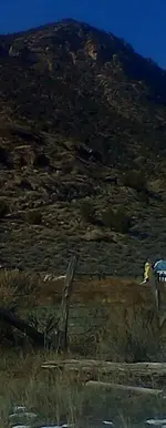 1202101242-3.webp