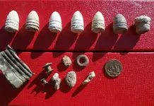 2-7-12 finds.webp