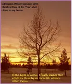 soctace scene edmonton.webp