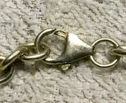IMGP0003.webp