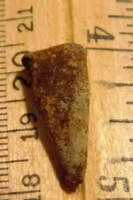 DSCN3506.webp