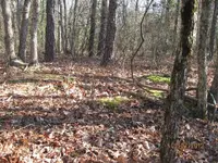 homesteadsite.webp