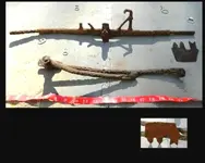finds rounds10.webp