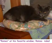 DSCF1280.webp