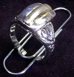 IMGP0008.webp