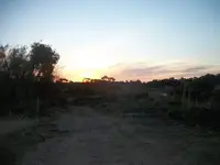 100_1233.webp