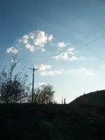 100_1231.webp