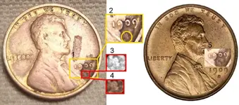 1909svdb.webp