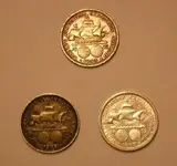DSCN3737.webp
