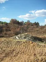 100_1216.webp