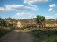 100_1215.webp